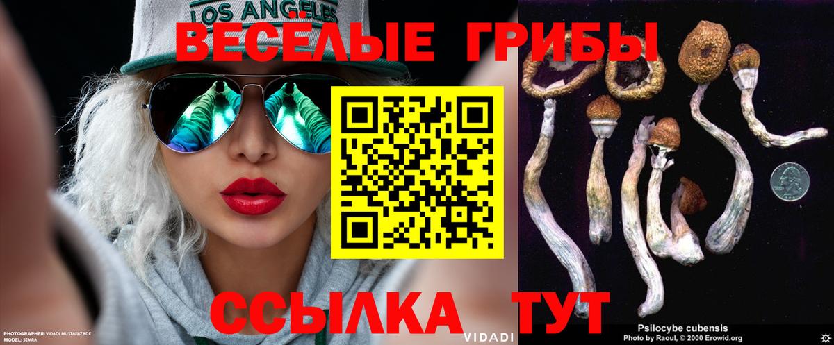Псилоцибиновые грибы Psilocybine cubensis Рыбинск
